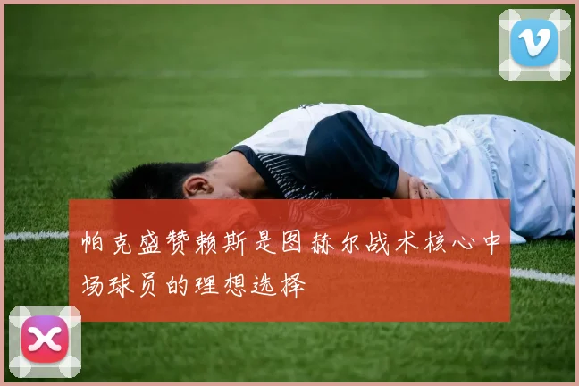 帕克盛赞赖斯是图赫尔战术核心中场球员的理想选择